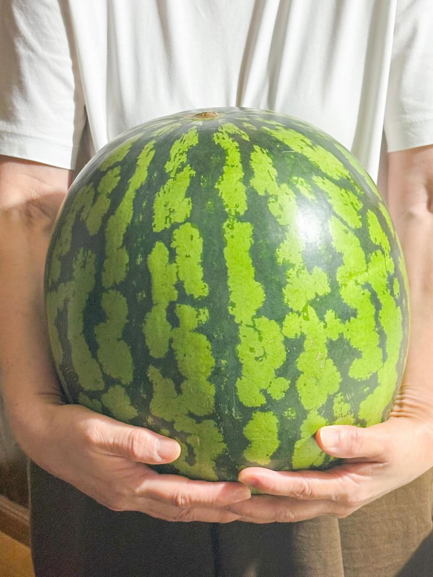 ご挨拶申し上げます