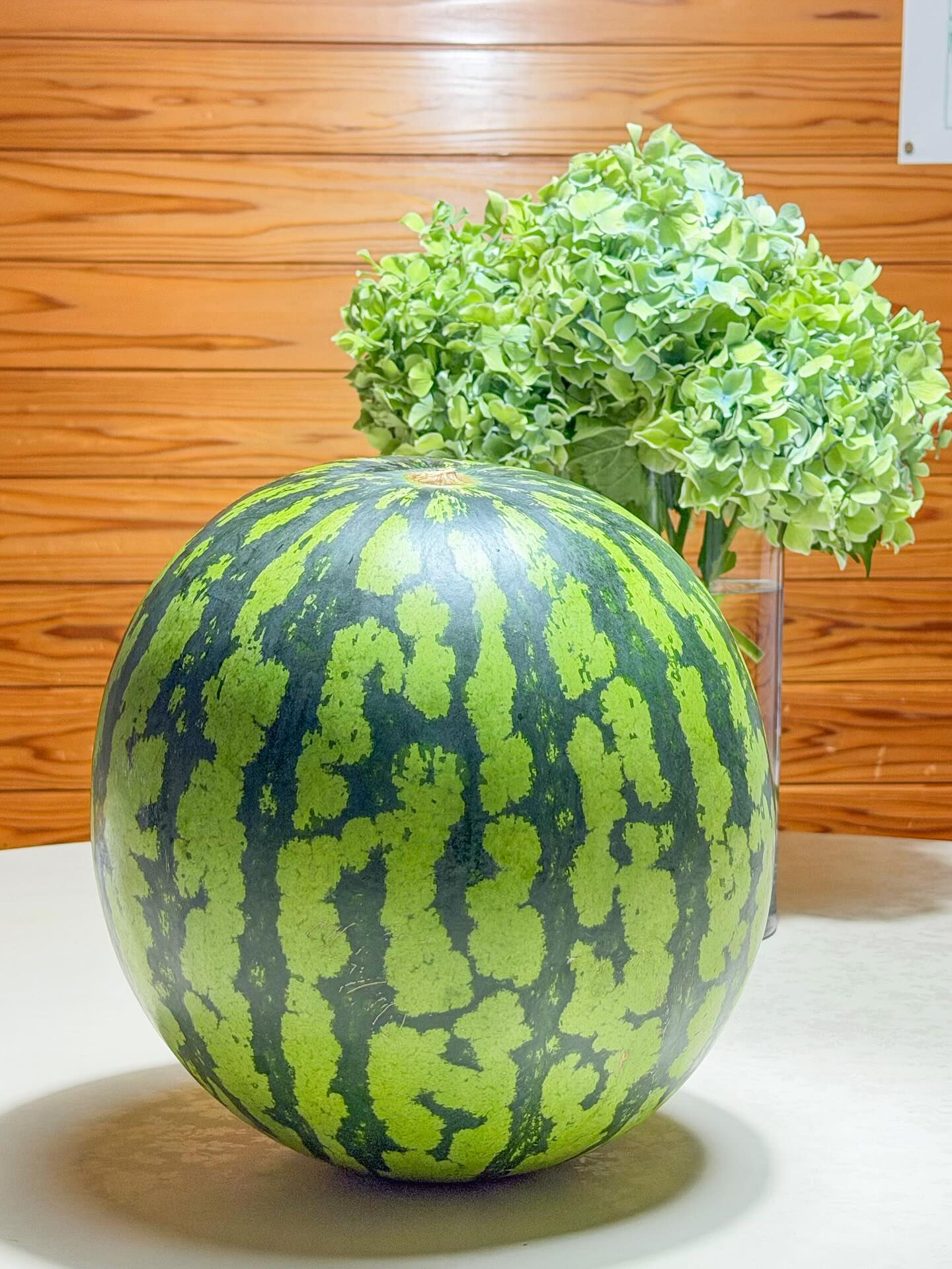 ご挨拶申し上げます