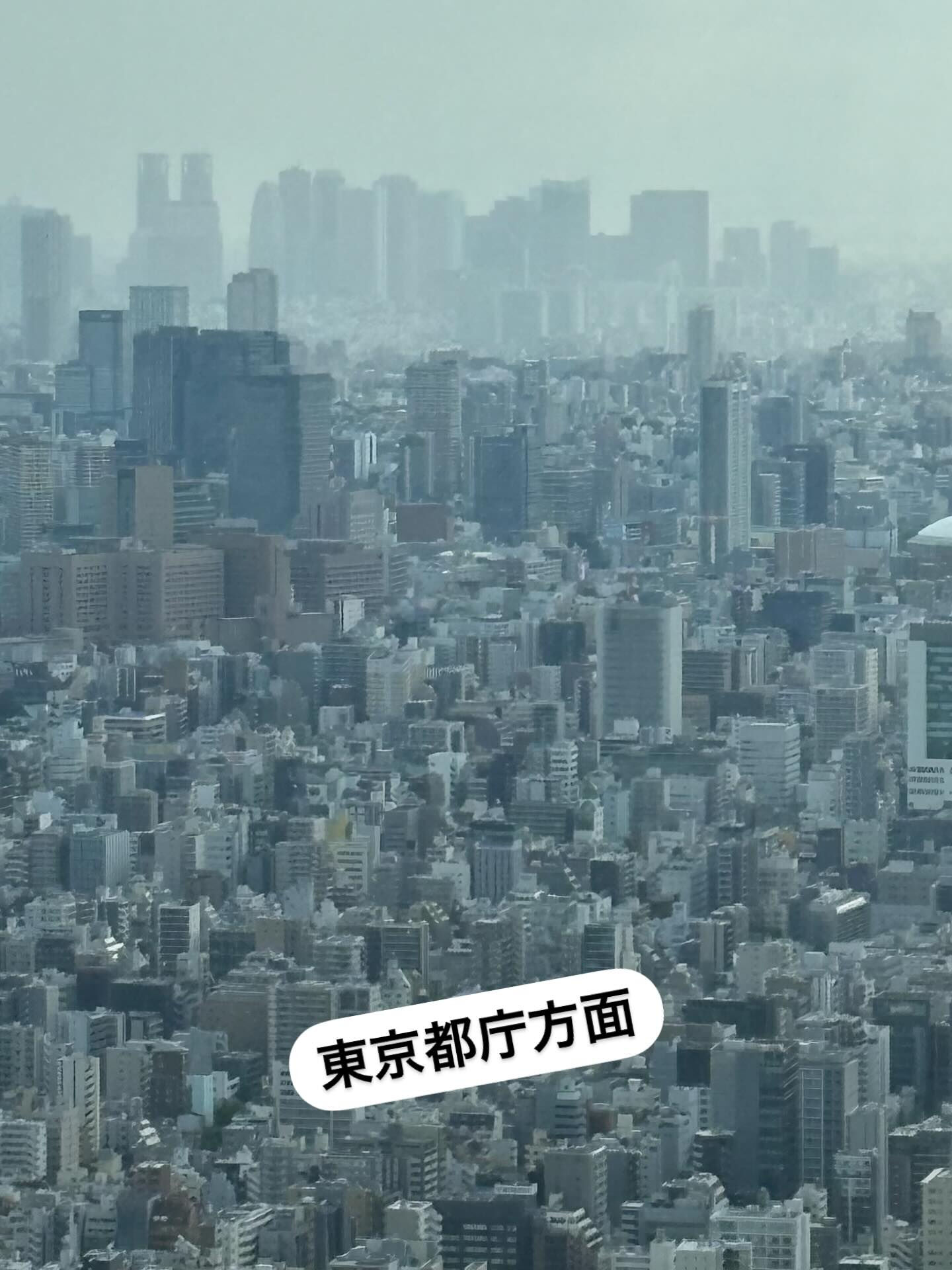 東京散策の思い出共有します