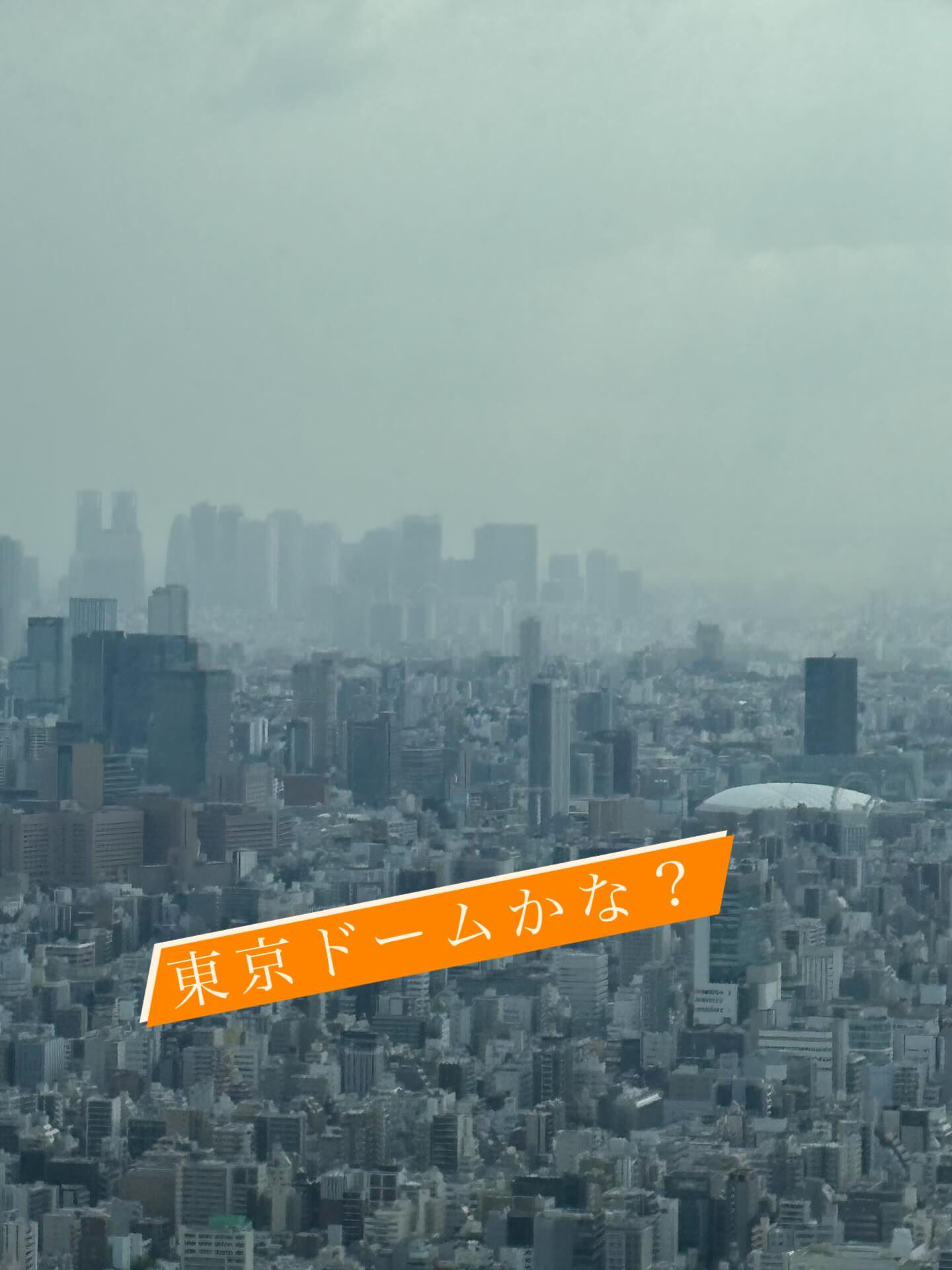 東京散策の思い出共有します