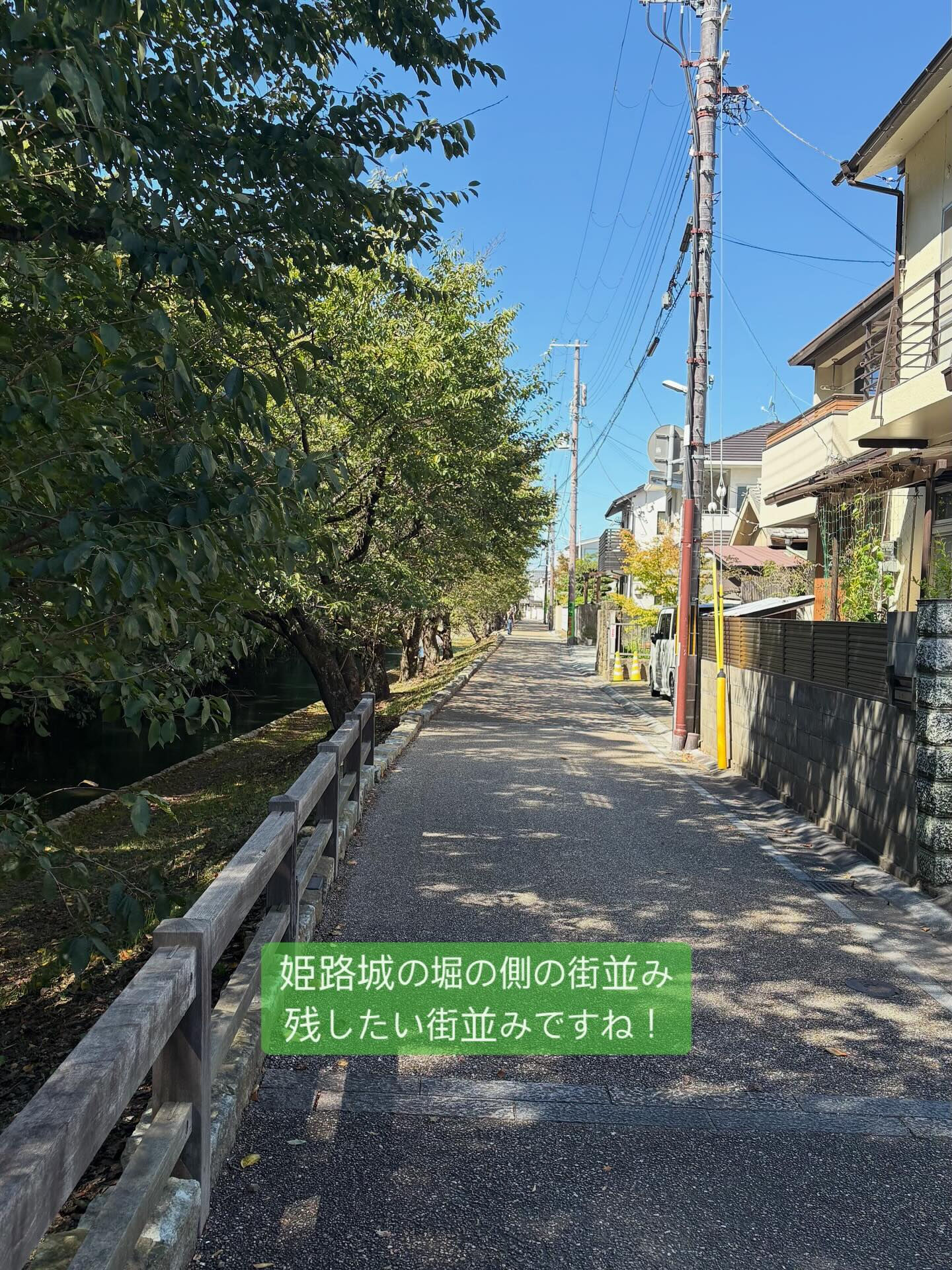 静かな午後のひととき