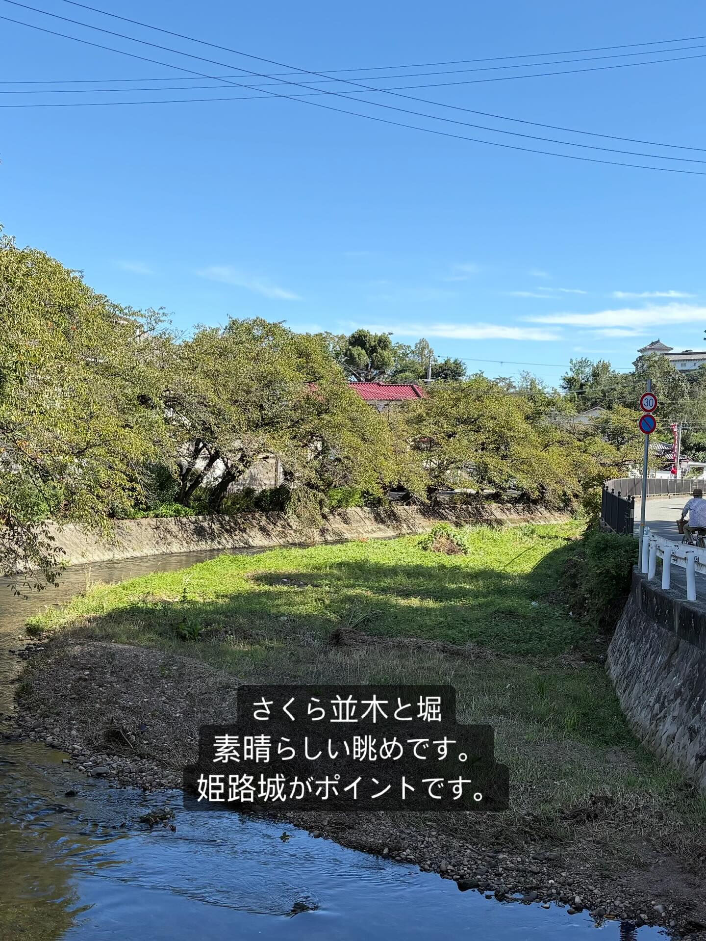 静かな午後のひととき